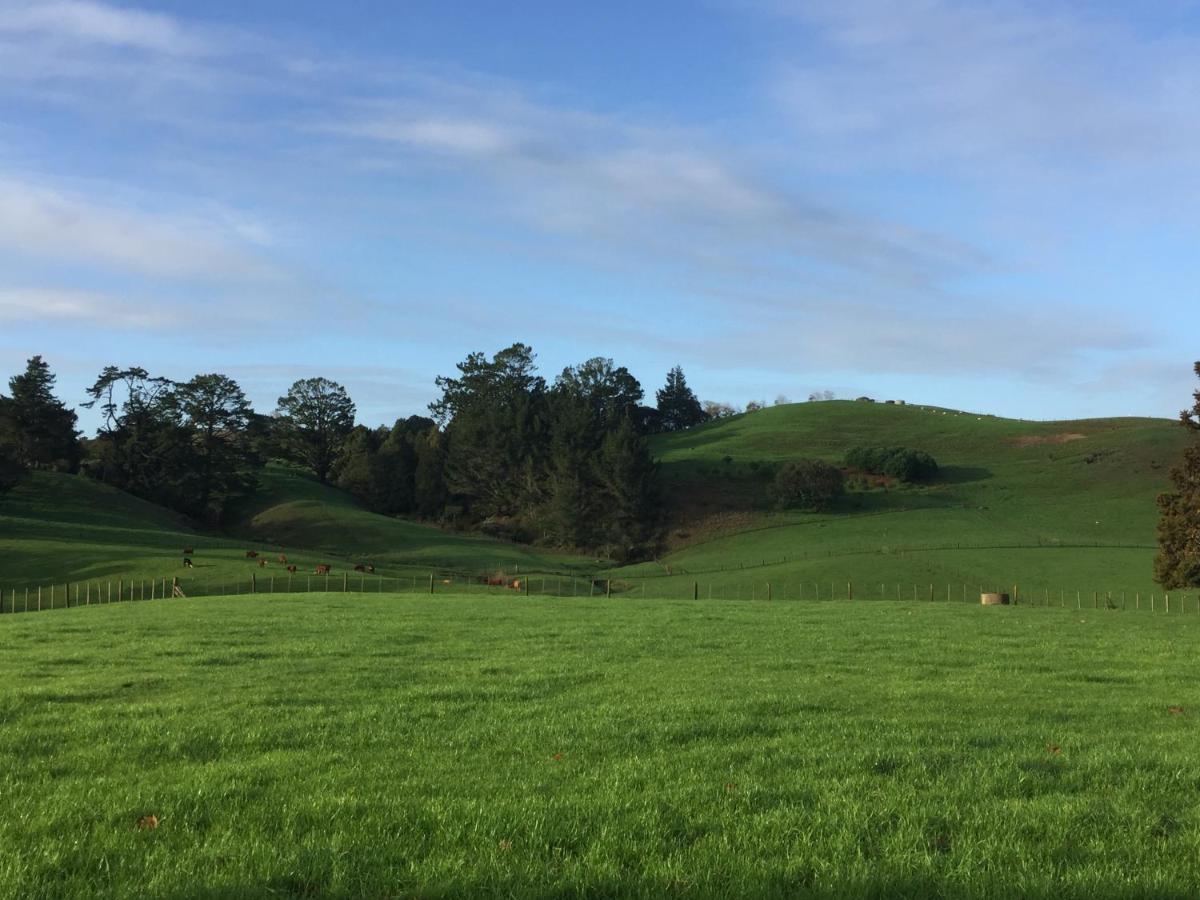 Veld View Bed&Breakfast Tuakau Exterior foto