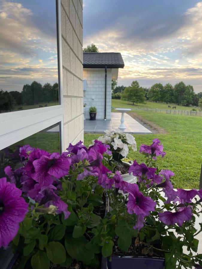 Veld View Bed&Breakfast Tuakau Exterior foto