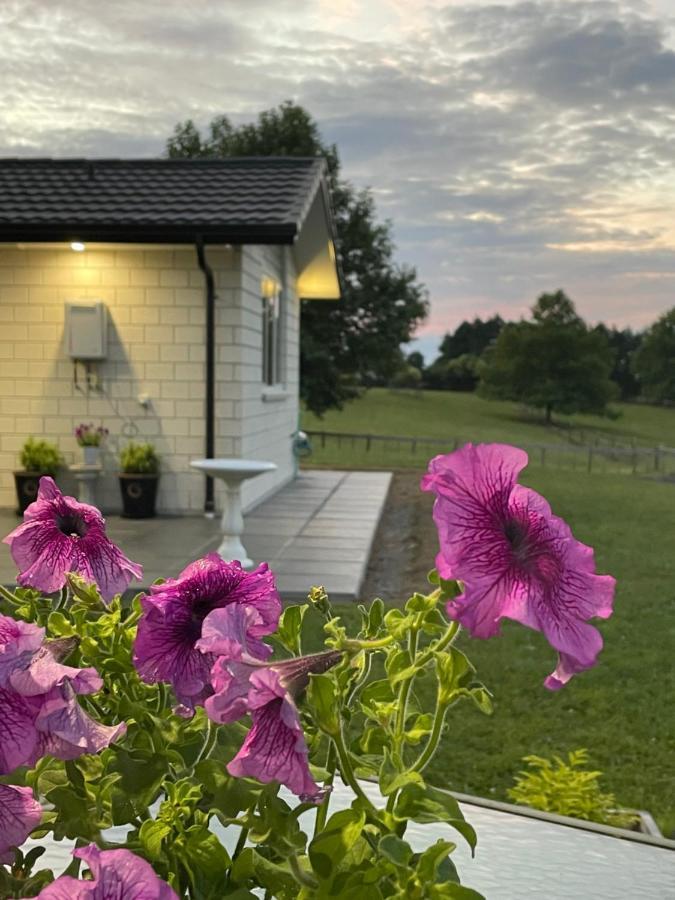 Veld View Bed&Breakfast Tuakau Exterior foto